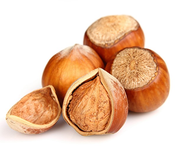 Orzech laskowy w łupinie <p></p>